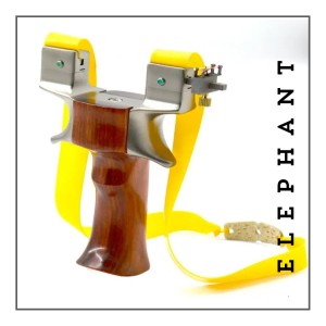 Create Ecommerce store In Simple 4 Steps